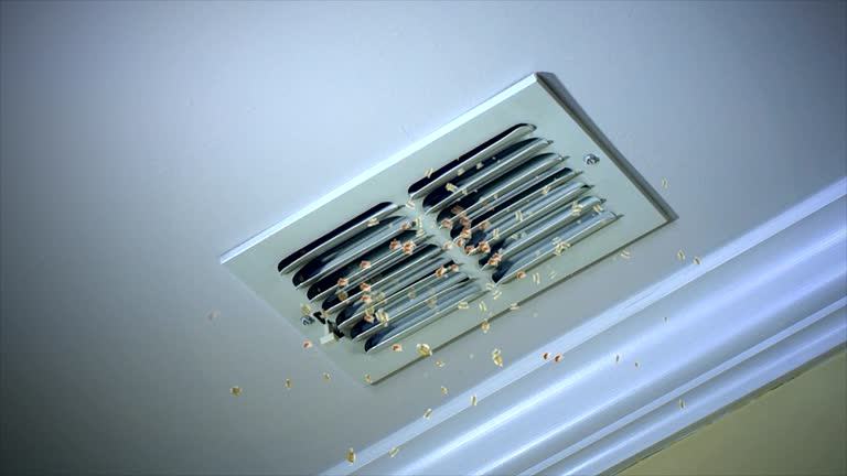Best Dryer Vent Cleaning Services  in Dunkirk, NY