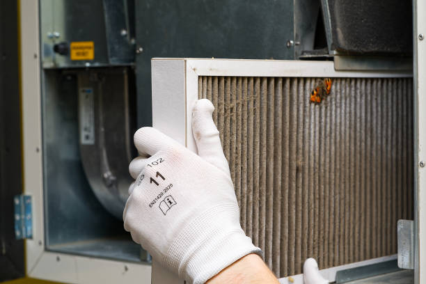 Best Duct Cleaning for Offices  in Dunkirk, NY