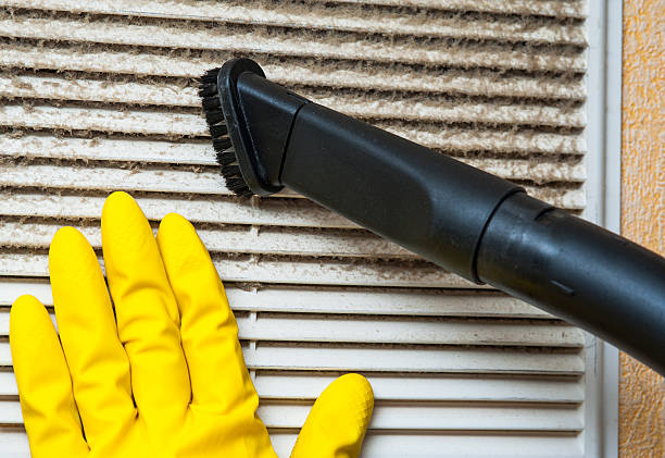 Best Air Duct Mold Removal  in Dunkirk, NY